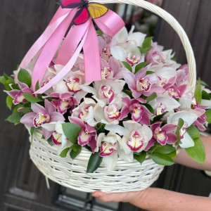 Корзина 31 орхидея микс с зеленью и лентами